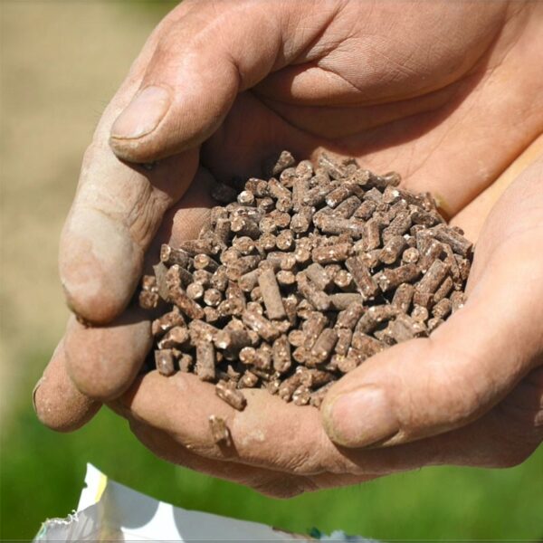 BACTÉRIOSOL® - Pack à 8 kg – Bild 3